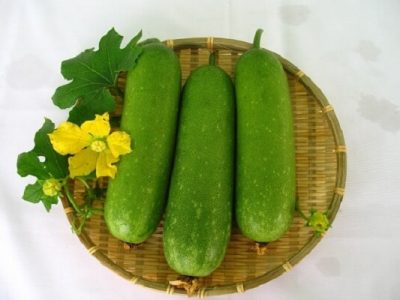 HY House - Công dụng của bí đao