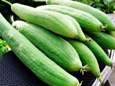 HY House - Công dụng thần kỳ của quả mướp