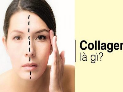 HY House - Tác hại của thiếu Collagen