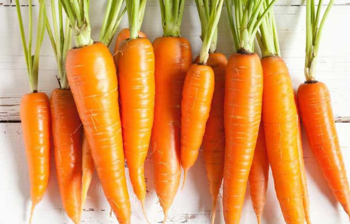  Beta carotene trong cà rốt là một chất chứa công dụng bảo vệ tế bào tránh khỏi tác hại của tia tử ngoại 